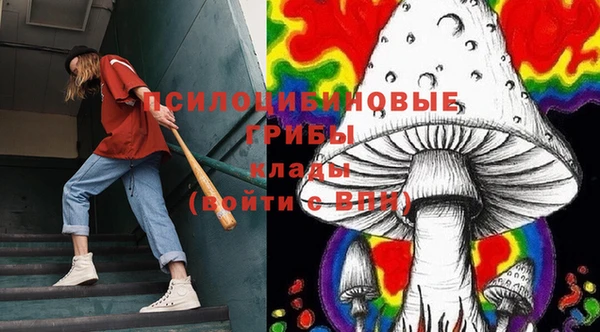 тгк Балахна