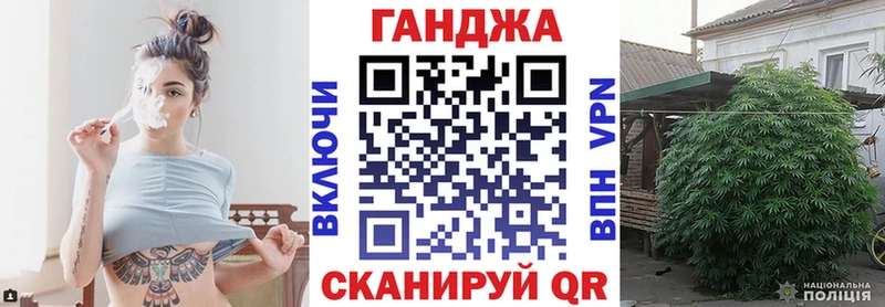 МАРИХУАНА сатива  Сясьстрой 